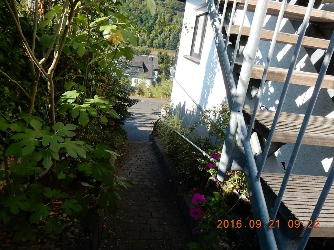 Mosel-Panorama Apartment Enkirch Exterior photo